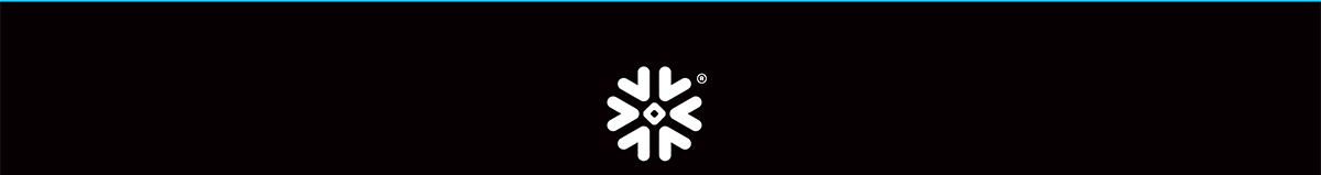 Snowflake